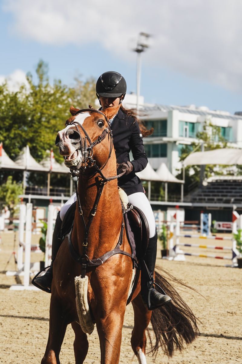 Mobile website we built for Magnat Shop — Equestrian e-commerce