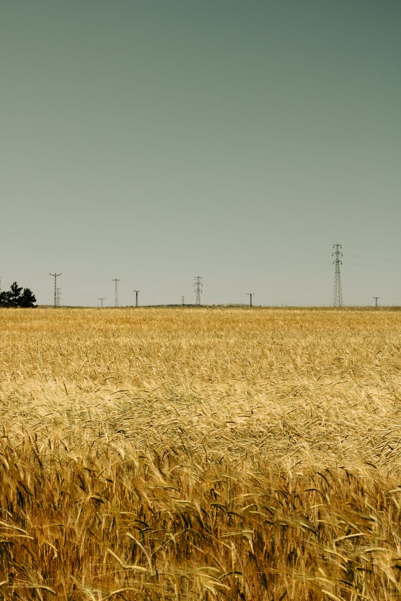 Mobile website we built for VA Agro — Agricultural supplies